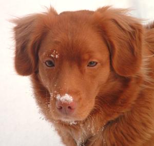 Bianca 7. januar 2003