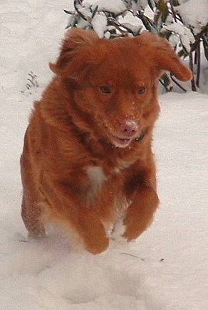 Bianca 7. januar 2003